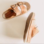 Rockport Two Strap Buckle Sandals Size 8 Photo 2