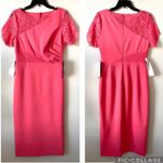 JS Collections  Lace Insert Sheath Midi Dress Camellia Coral 4 Photo 4