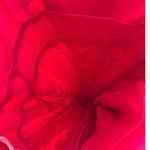 Kut From The Kloth  Womens Dress Maxi Paisley Bohemian Festival Size 6 Photo 7