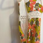 Milly  Floral Swiss Dot Fit & Flare Dress Size 6 Photo 10