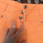 BlueAsphalt Burnt Orange Shorts Photo 4