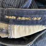 American Eagle  Striped Stretch Hi-Rise Jegging Crop Womens Jeans Size 4 Long Photo 6