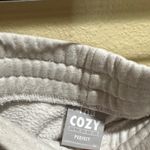TNA Cozy Fleece XS Light Gray Sweatpants White Photo 1