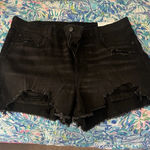 American Eagle  Shorts size 16 Photo 0