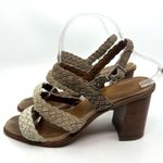 Frye  Amy Braided Leather Block Heeled Sandals Women's 9 US Photo 1