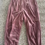 Urban Outfitters  Velour Pants Photo 0