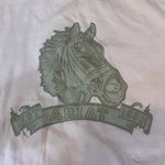 Ariat Light Pink Horse Graphic Tee Photo 1