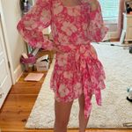 Love Shack Fancy LSF Pink Floral Mini Dress Photo 0