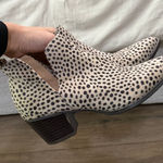 Boutique Spotted Ankle Boots Photo 0