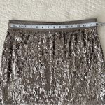 Chelsea and Violet Silver Sequin Mini Skirt Medium Photo 3