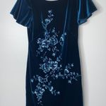 White House | Black Market WHBM Teal Velvet Lace Trim Floral Embroidered Flounce Sleeve Dress XS Petite Photo 0