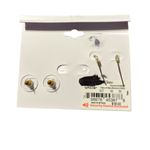 Sonoma 2 Pairs of  Earrings Photo 1