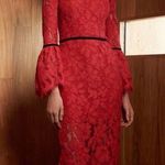 Alexis NWOT  lace dress Photo 0