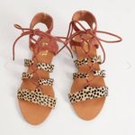 Buckle HPx2🎉NWT Cheetah Gladiator Sandals Photo 0