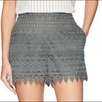 BCBGMAXAZRIA NWT Sage Green Lace Shorts Photo 2