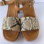 Anthropologie  Seychelles Jump For Joy Platform Sandal Beige Python Size 9 Photo 4