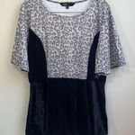 LuLaRoe Elegant Emma Women’s Velvet Black Lavender Sparkle Peplum Blouse Size XL Photo 0
