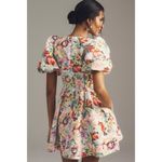 Anthropologie NWT  Sachin & Babi Puff-Sleeve Deep-V Taffeta Mini‎ Dress Medium Photo 2