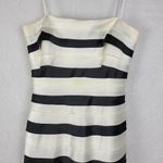 BCBG Maxazria Dress 2 Black Ivory Striped Classic A-Line Minimalist Photo 2