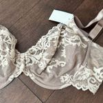 Wacoal Lace Detail Bra Photo 3