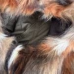 American Eagle  Jacket Womens Coat Hooded Faux Fur Removable Lining Utility Photo 9