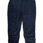 Pilcro Anthropologie Size L Mallory Utility Cargo Jogger Pants Blue Lyocell Size L Photo 0