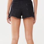 Wild Honey NWT Black Distressed Denim Fishnet Trim Shorts New Photo 2
