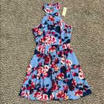Francesca's Collections Blue and Red Floral Dress Size XS Photo 0
