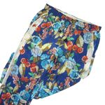 Johnny Was NWT Emma Divine in Blue Floral Lightweight Wide Leg Lined Pants XL Photo 1