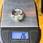 Genuine Blue Apatite Sterling Silver Turtle Ring Size 7 Photo 7