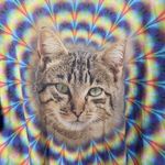 Gildan Vapor wave psychedelic cat t-shirt Photo 4
