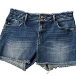 KanCan USA Kancan Distressed Raw Hem Shorts Size 32 Photo 0