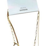 EXPRESS  Gold Dual Chain Necklace Photo 0