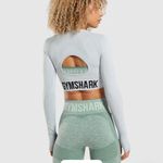 Gymshark  Flex Sports Long Sleeve Crop Top Women’s Small Athletic Photo 1