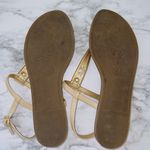 Sam Edelman Circus Cayden Patent Leather Thong Sandal Photo 2