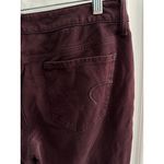 American Eagle Jegging Super Stretch Burgundy Brown Skinny Women’s Size 10 Short Photo 3