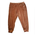 SKIMS  Velour Jogger Pants Luxe Loungewear Size 4X Photo 1