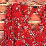 Blue Life Revolve Red Floral Amaris Mini Dress Photo 8