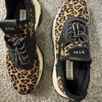 Steve Madden  Sneakers Photo 1