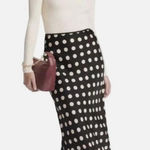 A New Day  polka dot skirt Photo 0