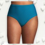 Terra & Sky +  Blue Bikini Bottom 2X (20-22W) NWT Photo 1