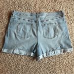 Sonoma NWT!  Light Wash Distressed High Rise Jean Shorts Size 24W Photo 1