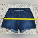 7 For All Mankind JEN7 by 7 for ALL MAN KIND mid length dark wash shorts size 16 high rise Photo 2