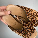 Aerosoles | Yorketown Wedge Sandal Cheetah 7.5 Photo 2