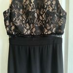 NWT Morgan&Co Semi Photo 2