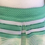 Alya Mint Green Striped Skirt Photo 1