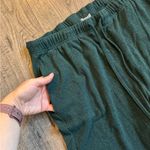 Aerie The Chill Cozy Jogger- Emerald- Size Medium Photo 1