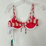 Seafolly  Cabana Underwire Bra in Sun Kissed Coral Size 6 NWT Photo 7