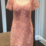 Women’s Pale Pink Lace Appliqué Short Sleeved Dress Size NWT Size L Photo 0