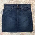 Loft Classic Denim Dark Wash Skirt with Stretch Photo 0